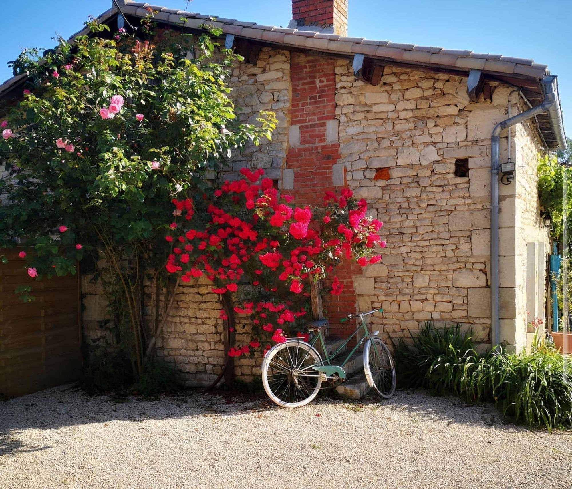 Hébergement de vacances Nature & Chiens De Traineaux *